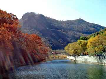 青岛大脸汉堡加盟店,青岛大脸汉堡加盟店有哪些