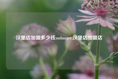 汉堡店加盟多少钱zmburger,汉堡店加盟店