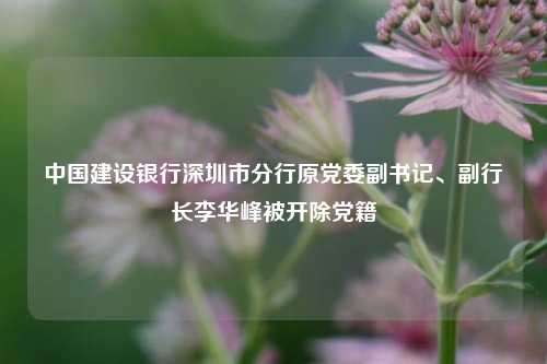 中国建设银行深圳市分行原党委副书记、副行长李华峰被开除党籍