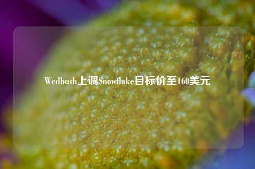 Wedbush上调Snowflake目标价至160美元