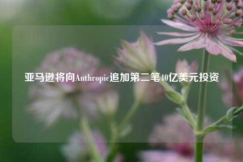 亚马逊将向Anthropic追加第二笔40亿美元投资