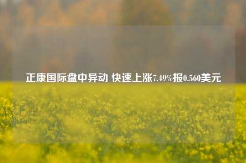 正康国际盘中异动 快速上涨7.49%报0.560美元