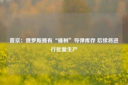 普京：俄罗斯拥有“榛树”导弹库存 后续将进行批量生产