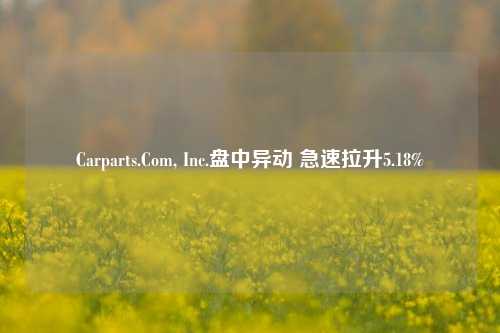 Carparts.Com, Inc.盘中异动 急速拉升5.18%