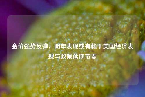 金价强势反弹，明年表现或有赖于美国经济表现与政策落地节奏