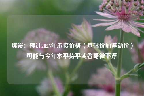 煤炭：预计2025年承接价格（基础价加浮动价）可能与今年水平持平或者略微下浮