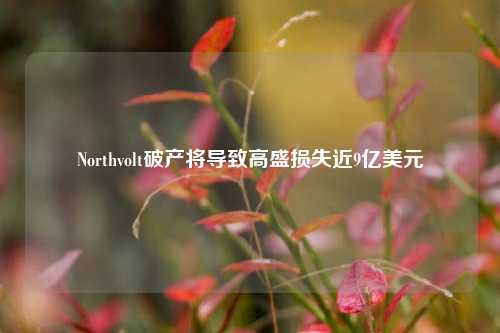 Northvolt破产将导致高盛损失近9亿美元