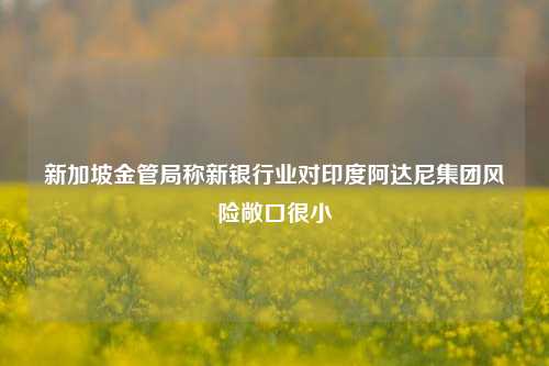 新加坡金管局称新银行业对印度阿达尼集团风险敞口很小