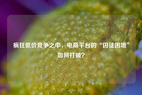 疯狂低价竞争之中，电商平台的“囚徒困境”如何打破？