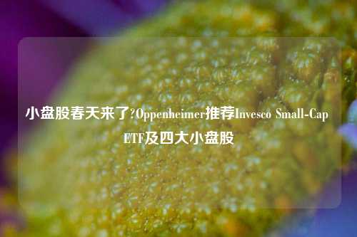 小盘股春天来了?Oppenheimer推荐Invesco Small-Cap ETF及四大小盘股