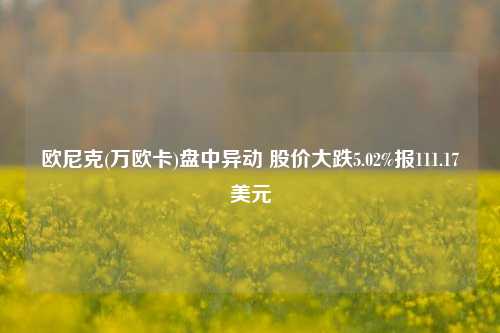 欧尼克(万欧卡)盘中异动 股价大跌5.02%报111.17美元