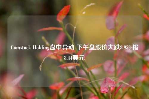 Comstock Holding盘中异动 下午盘股价大跌8.95%报8.44美元