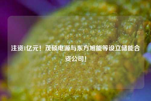 注资1亿元！茂硕电源与东方旭能等设立储能合资公司！