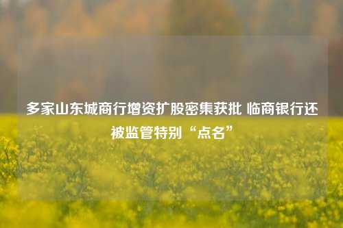 多家山东城商行增资扩股密集获批 临商银行还被监管特别“点名”