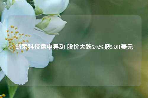 慧荣科技盘中异动 股价大跌5.02%报53.01美元