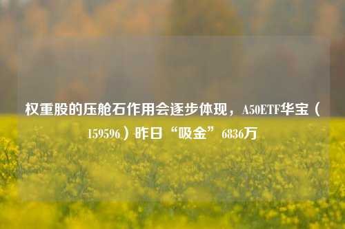 权重股的压舱石作用会逐步体现，A50ETF华宝（159596）昨日“吸金”6836万