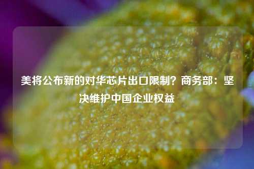 美将公布新的对华芯片出口限制？商务部：坚决维护中国企业权益