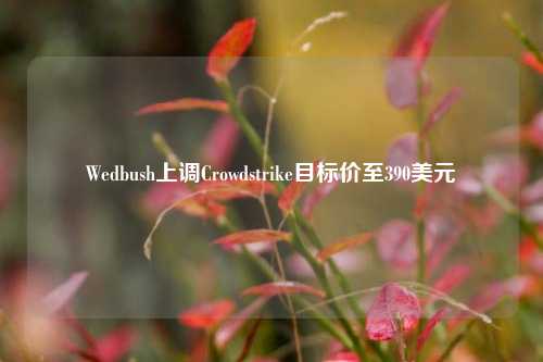 Wedbush上调Crowdstrike目标价至390美元