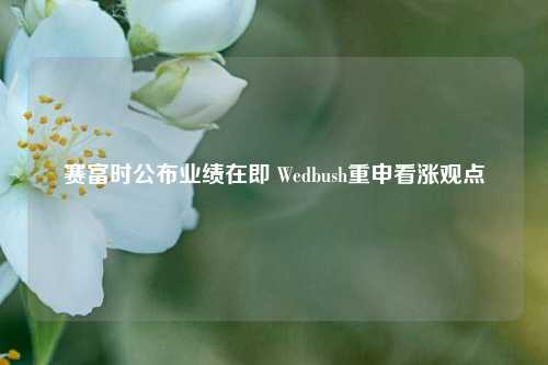 赛富时公布业绩在即 Wedbush重申看涨观点