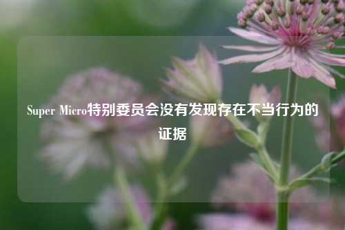 Super Micro特别委员会没有发现存在不当行为的证据