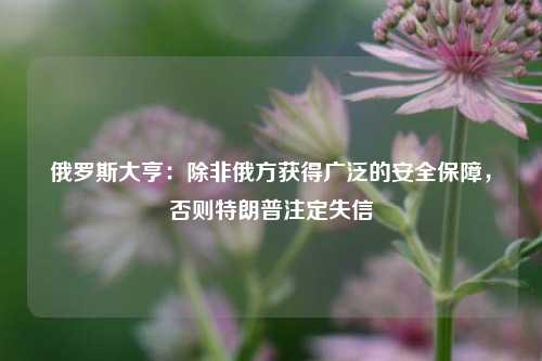 俄罗斯大亨：除非俄方获得广泛的安全保障，否则特朗普注定失信