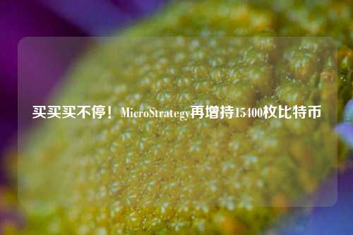 买买买不停！MicroStrategy再增持15400枚比特币