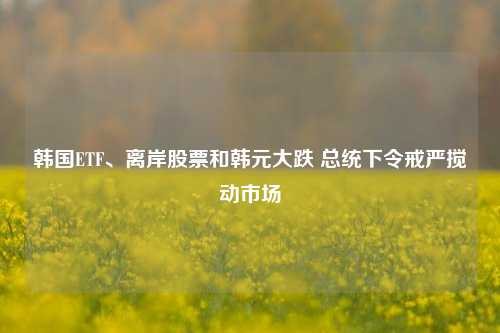 韩国ETF、离岸股票和韩元大跌 总统下令戒严搅动市场